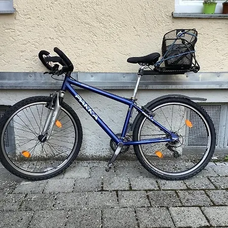 Zimmer In Kuenstlerhaushalt
